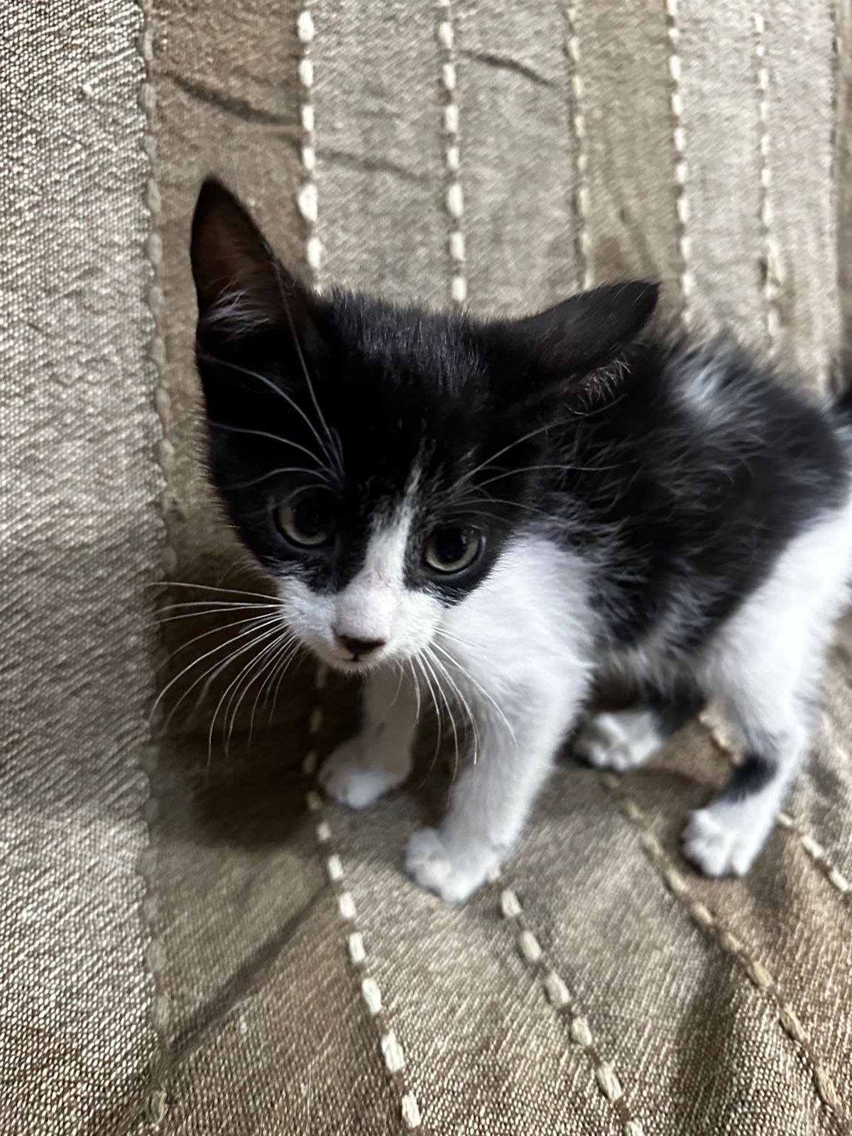 Escena de un rescate