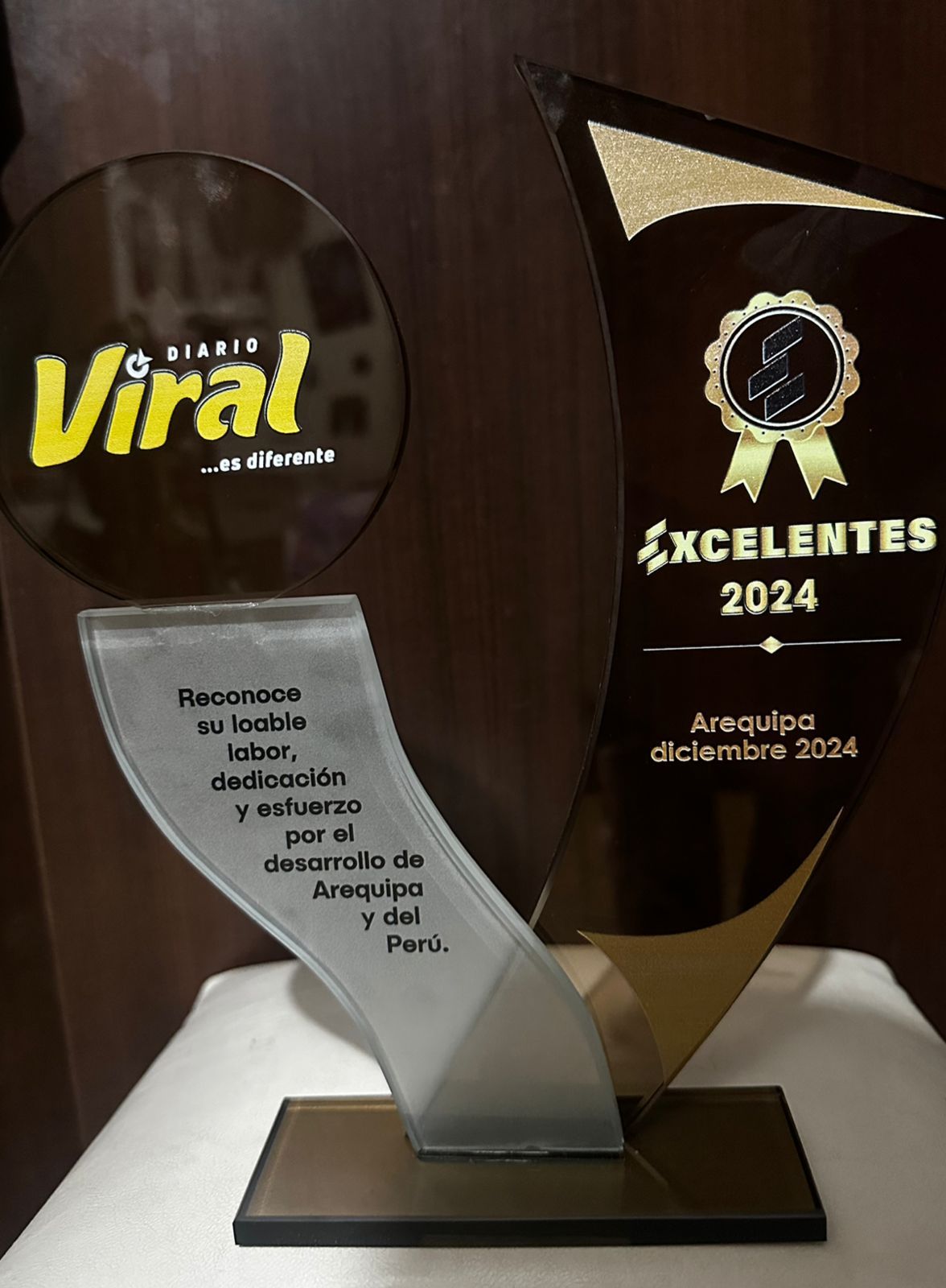 Premio Excelentes 2024 del Diario Viral