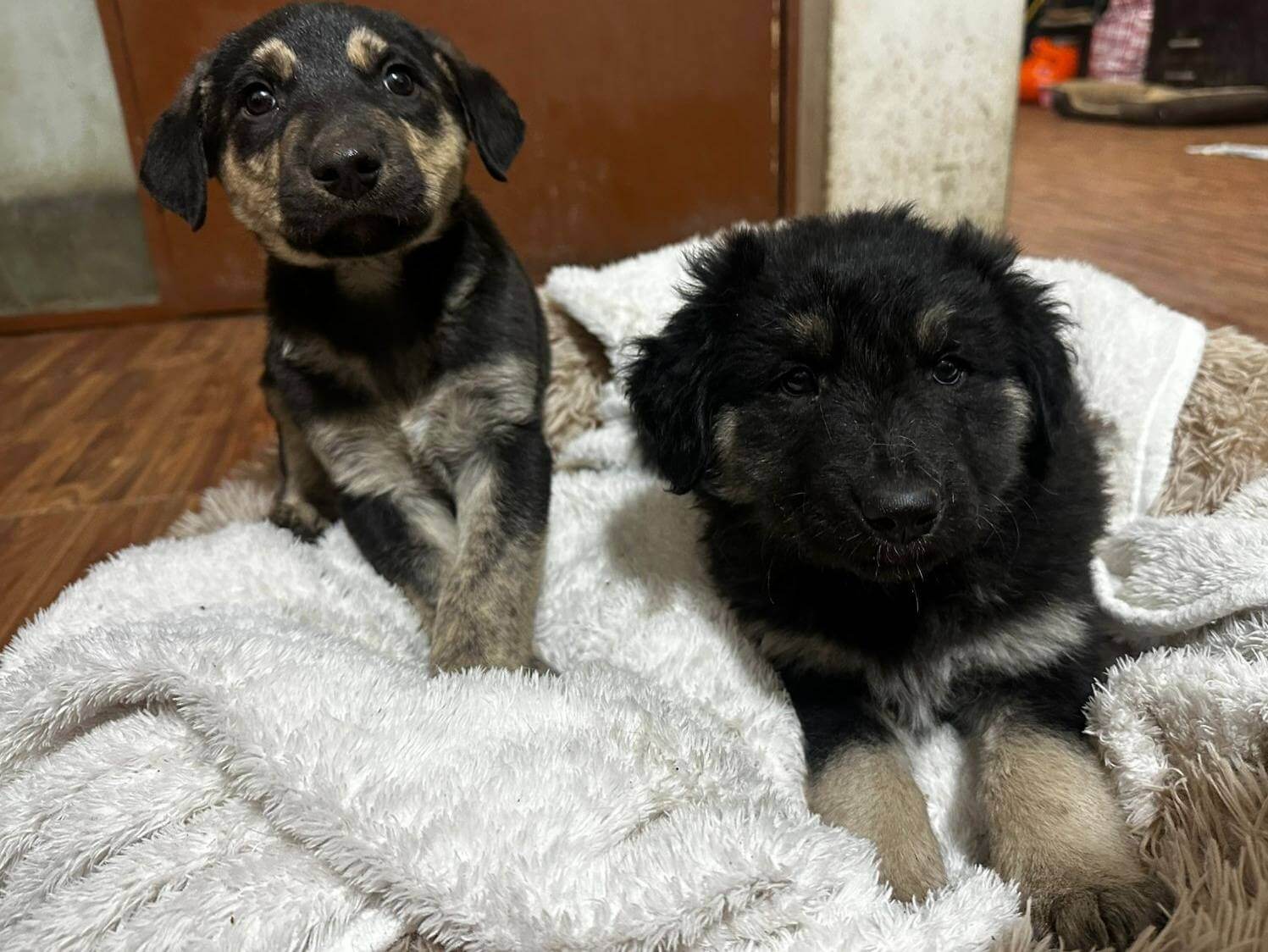 Teléfono grabando una situación